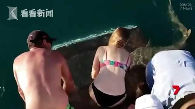 恐怖!女子游艇上喂鲨鱼 一伸手就被猛咬拖下水!