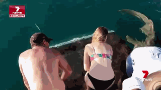 恐怖!女子游艇上喂鲨鱼 一伸手就被猛咬拖下水!