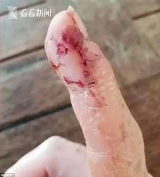 恐怖!女子游艇上喂鲨鱼 一伸手就被猛咬拖下水!
