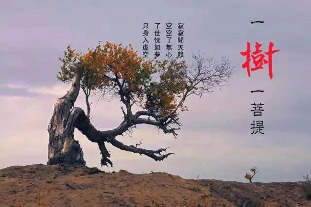 医院的三句话 银行的三句话 专家的三句话 不看后悔!