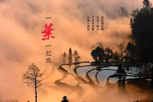 医院的三句话 银行的三句话 专家的三句话 不看后悔!