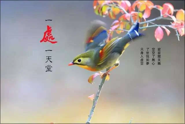 医院的三句话 银行的三句话 专家的三句话 不看后悔!