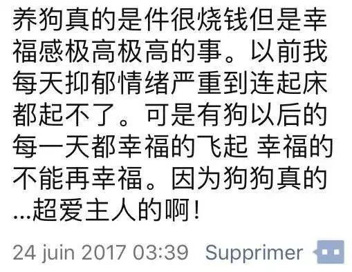 “在我最落魄的时候 是我的狗收留了我”