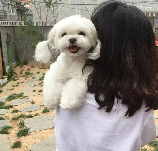 “在我最落魄的时候 是我的狗收留了我”