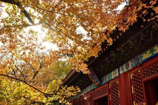 人为什么要行善?心中有善念多做善事 是古人留给我们的金玉良言