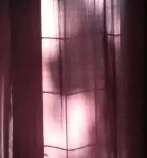 主人痛失爱犬 半夜看到窗子上的狗狗剪影 “它回来了!”