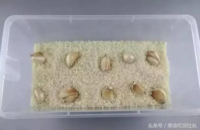 值得收藏 大米夏天不生虫的储存方法