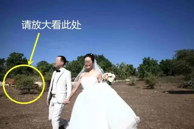 千万别得罪婚纱摄影师 不然看到照片后会哭的