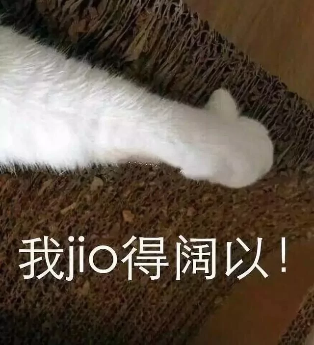 猫咪窗台摆出神秘姿势 主人发现猫咪在打暗号 猫咪:安全!