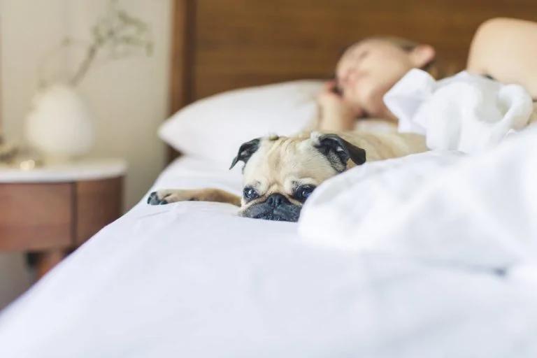 研究: 睡眠不足永久损坏脑细胞 !人生各阶段怎样睡最好