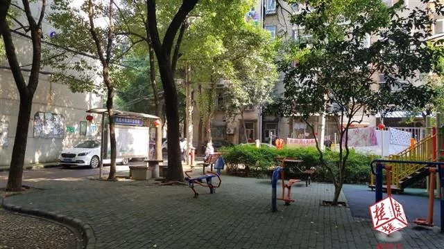 大狗扑来 从女子怀里叼走半岁宝宝 一顿乱咬… !