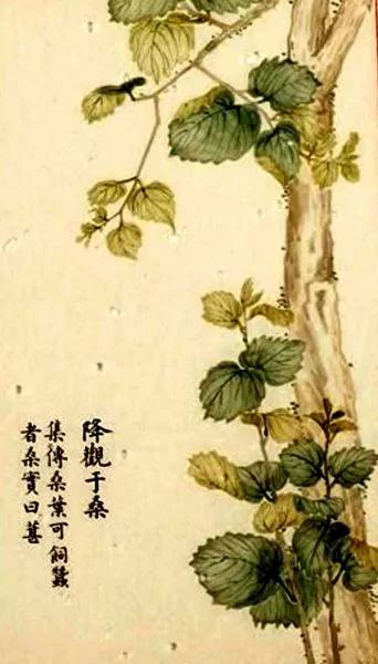 陈氏教养方式:“我只要你用善德来孝养我 不是要你做官后用俸禄来养我。”