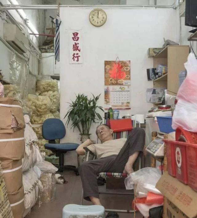 店里养了一只猫咪后 彷佛装了监控 猫:你给我小心点 不然后果自负!