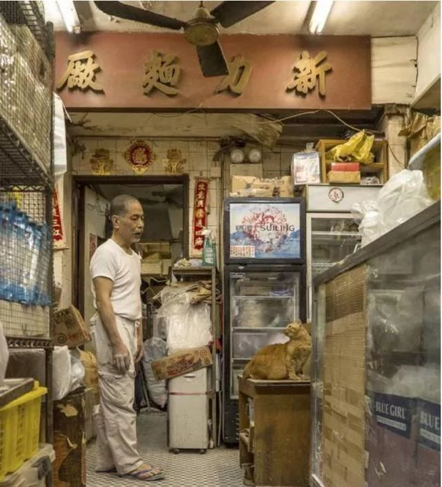店里养了一只猫咪后 彷佛装了监控 猫:你给我小心点 不然后果自负!