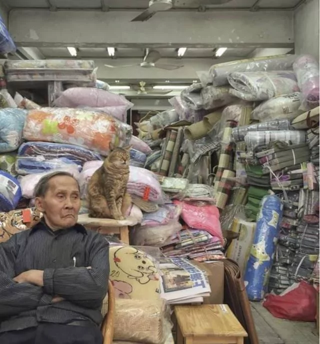 店里养了一只猫咪后 彷佛装了监控 猫:你给我小心点 不然后果自负!