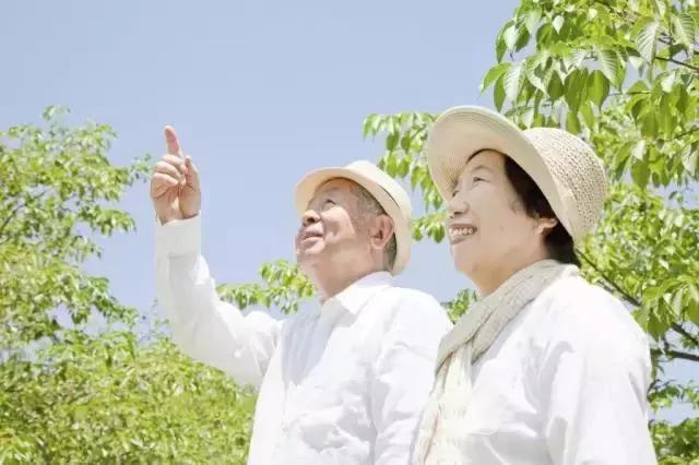 三大黄金养生时间段:早养胃 午养心 晚养百脉!