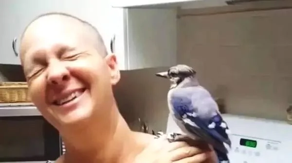 世上最暖报恩!3年前她救了一只鸟 患癌后鸟儿竟救活姑娘