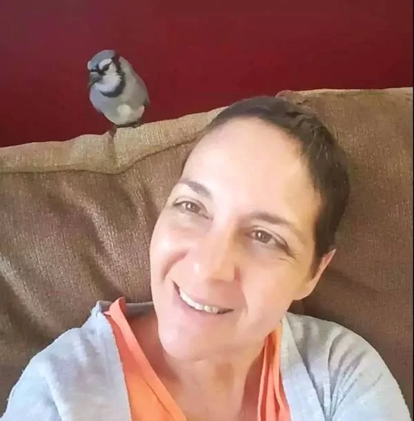 世上最暖报恩!3年前她救了一只鸟 患癌后鸟儿竟救活姑娘