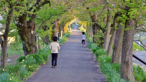 令人惊叹的日本 干净的街道独特的风情
