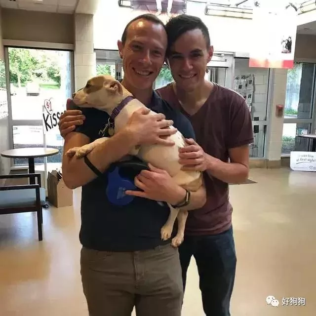 狗狗获救后 不停的微笑!