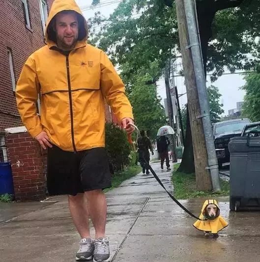 敢在暴雨天遛狗的主人…都是勇士!