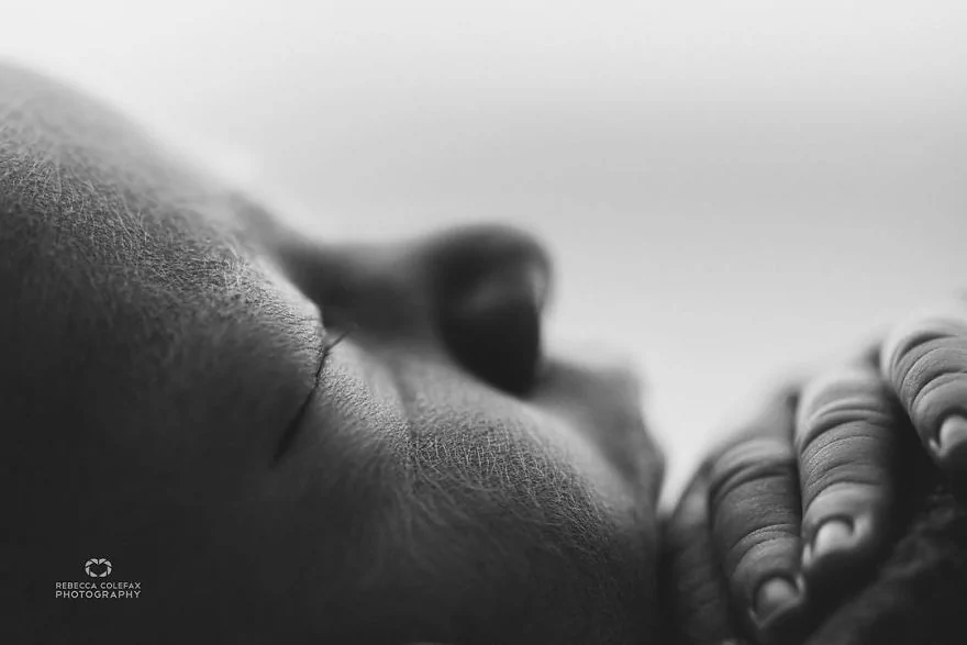 摄影师用不同角度 拍出婴儿的“真正灵魂”!