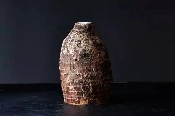 把蔬菜种起来 变成小盆景有趣又好看