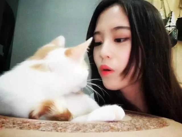 主人朝喵星人吹气 橘猫伸手勾住下巴深吻:满意了吧 女人真烦!