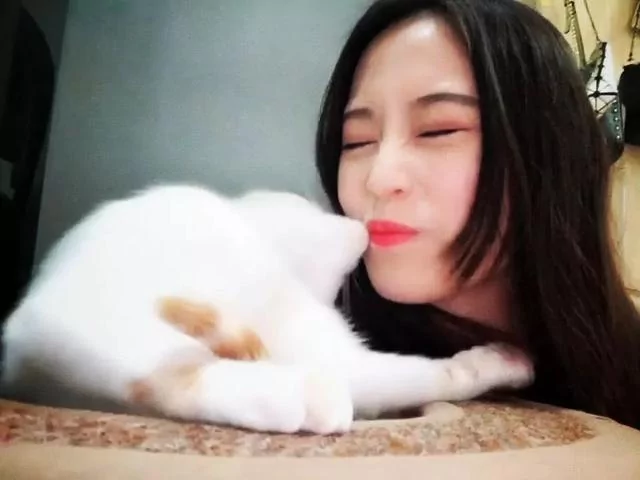 主人朝喵星人吹气 橘猫伸手勾住下巴深吻:满意了吧 女人真烦!