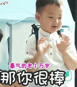 流浪猫零下20度救弃婴 网友点赞:厉害了!