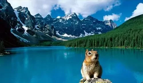 隐藏在地球上的绝世美景 你看过几个?
