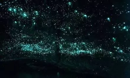 隐藏在地球上的绝世美景 你看过几个?