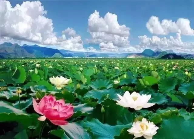 隐藏在地球上的绝世美景 你看过几个?