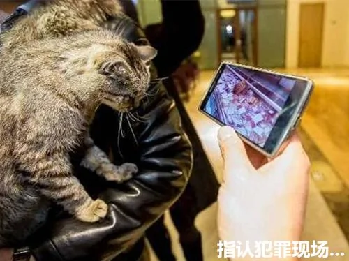 海鲜店频频遭遇小偷 一周损失7千多 查看监控找到元凶笑翻了