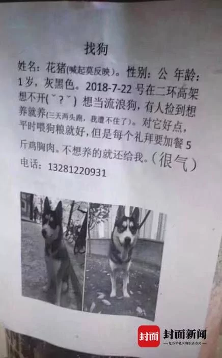 哈士奇经常走丢 主人贴寻狗启事:捡到对它好点!