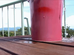 露天浴简直太好了 猫咪泡在水里都不出来了!
