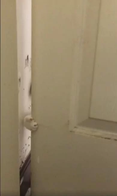 刚到家门缝伸出小手手 萌喵”单手开门“迎接主人:欢迎回家!