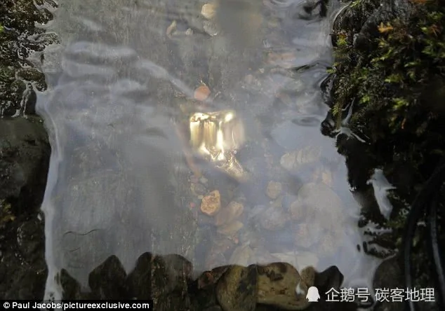 男子发现英国500年来最大金块:拒绝透露地点专家很着急