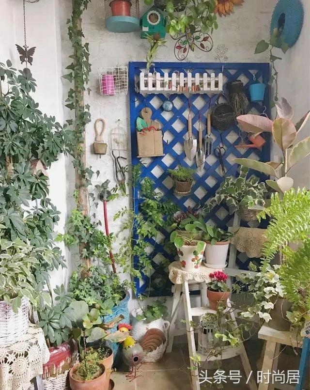 一个很有创意的“阳台花园” 网友直呼:确定不是个杂货店?