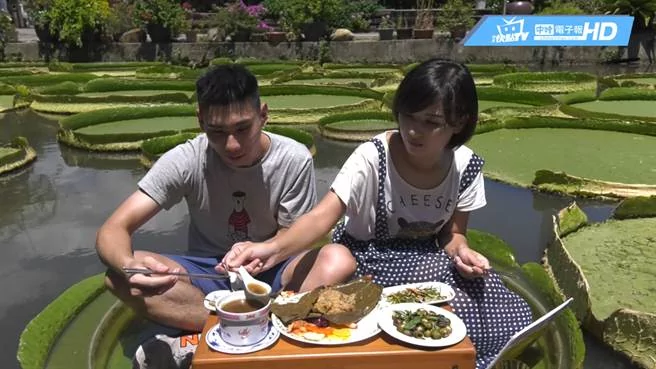 桃园康庄莲园 夏日最美打卡点!