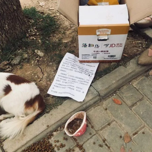 主人无奈将狗狗抛弃路边 留下食物 一张纸条说出狗狗心酸故事!