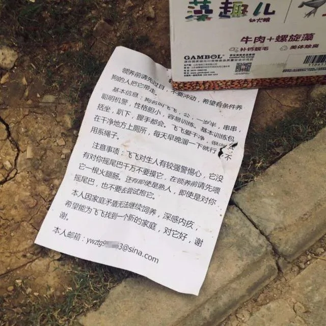 主人无奈将狗狗抛弃路边 留下食物 一张纸条说出狗狗心酸故事!