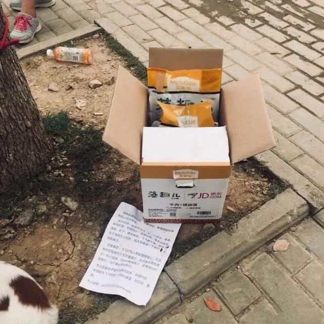 主人无奈将狗狗抛弃路边 留下食物 一张纸条说出狗狗心酸故事!