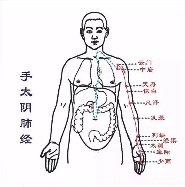 45岁之后 身体有这4个特征 说明你的肺部很健康