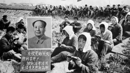 啼笑皆非:“反革命”脖子的故事