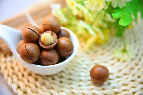 坚果健脑护血管 在食用上各有禁忌