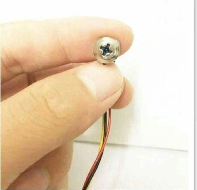 15个超稀有照片 大开眼界!