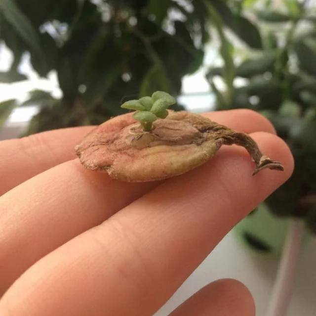 15个超稀有照片 大开眼界!
