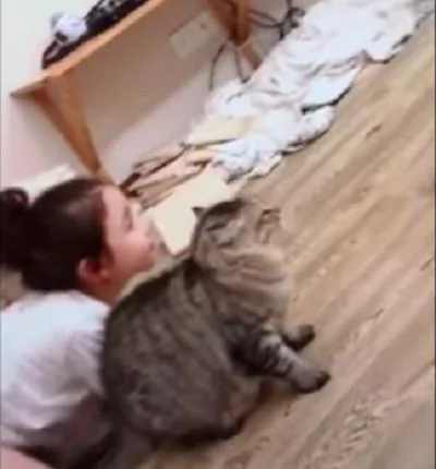 霸气猫皇看到小主人被欺负 对着狗狗就来一招“旋风腿”:朕的人你也敢碰!