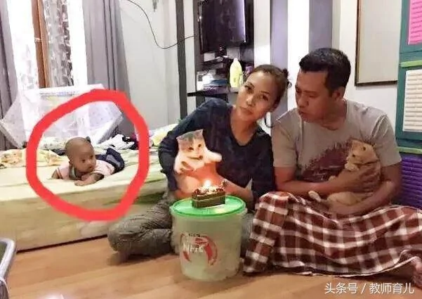 看了这9张图片 你确定孩子是亲生的吗?留下了搞笑的眼泪!